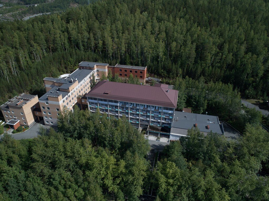 Рыжик — корги-микс с рыжей густой шерстью.